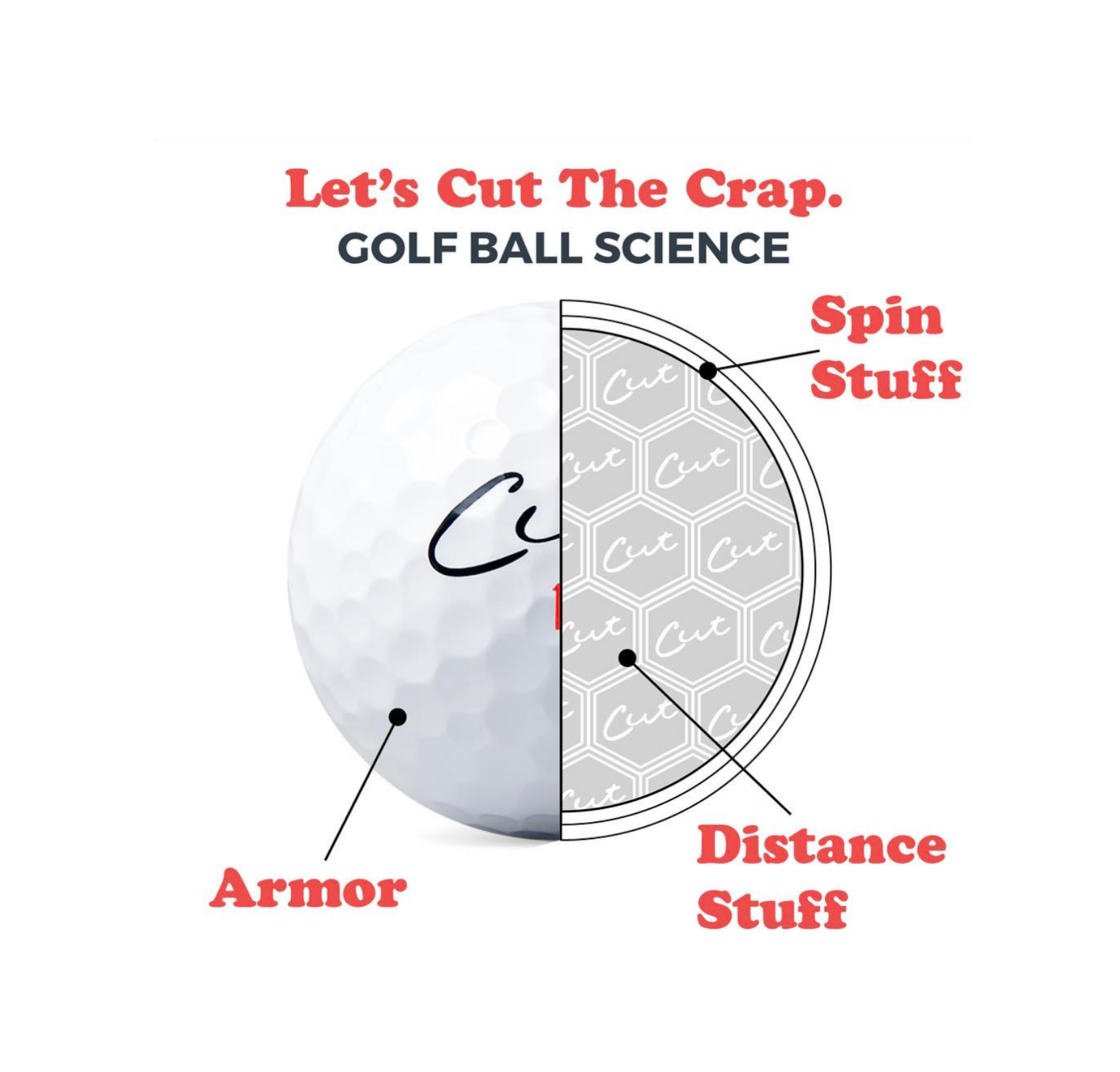 Image Showing Different Features of the Cut Red Golf Ball