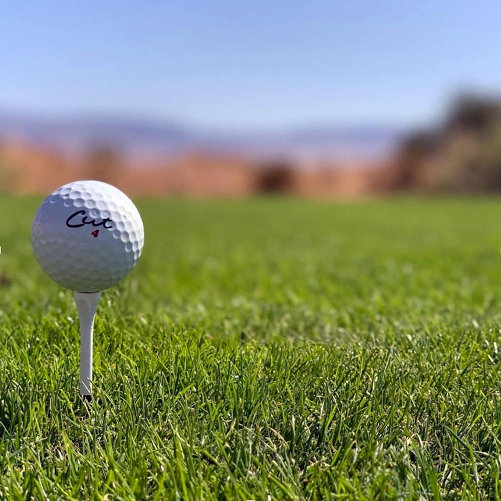 Cut DC Ball On a Tee With the Fairway In the Background
