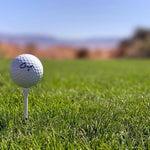 Cut DC Ball On a Tee With the Fairway In the Background